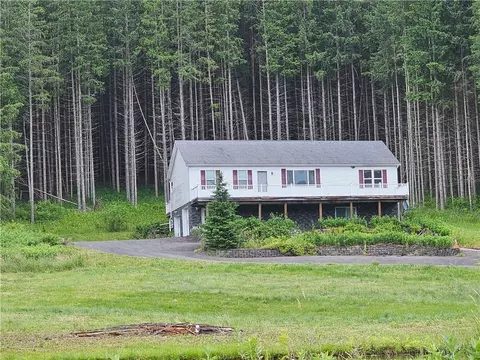 150 Wheaton Creek Rd, Otego, NY 13825