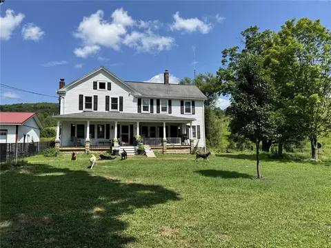 310 Dimmock Hollow Rd, Morris, NY 13808