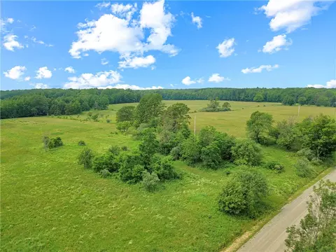 11653 French Hill Rd, Grove, NY 14884