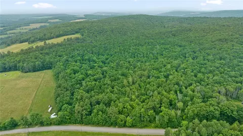 99 Rich Hill Rd, Barker, NY 13862