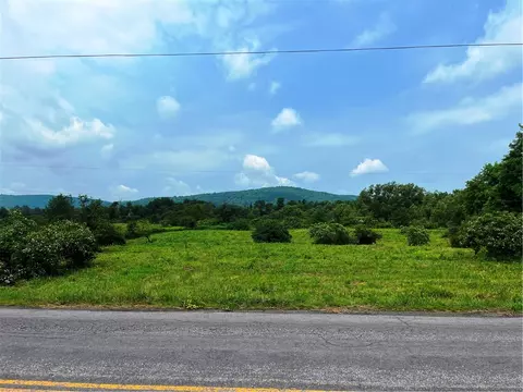 0 County Highway 35, Milford, NY 13807