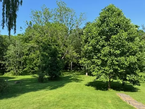 96 Maple St, Lyons, NY 14489 photo 18