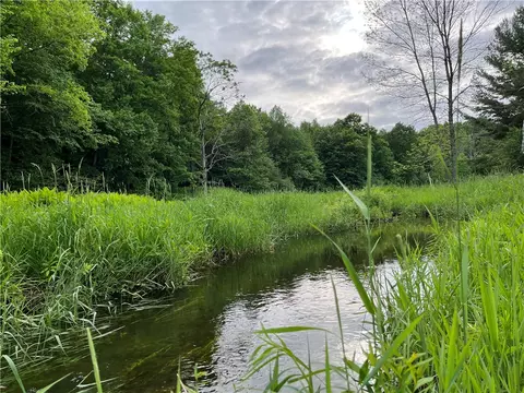 0 Thomas Rd, Adams, NY 13606
