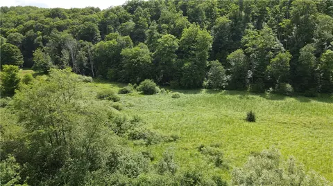 0 Alderbottom Rd, Leon, NY 14726 photo 7