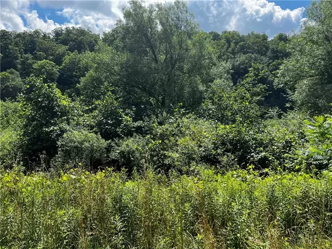 0 Alderbottom Rd, Leon, NY 14726 photo 5