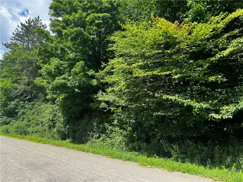 0 Alderbottom Rd, Leon, NY 14726 photo 3