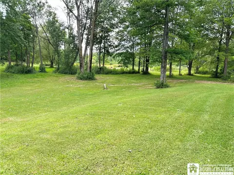 10567 Chestnut Rd, Dunkirk, NY 14048 photo 28