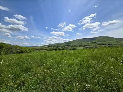 lot14 Blackberry St, Gilboa, NY 12167