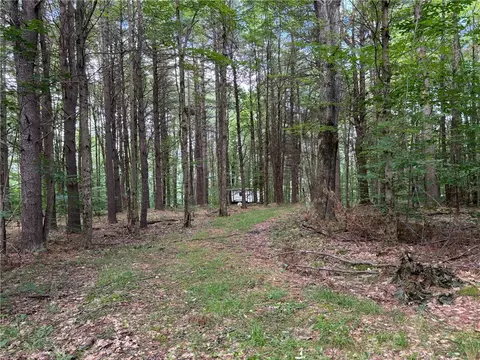 Undisclosed, Sidney, NY 13838 photo 8