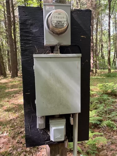 Undisclosed, Sidney, NY 13838 photo 4