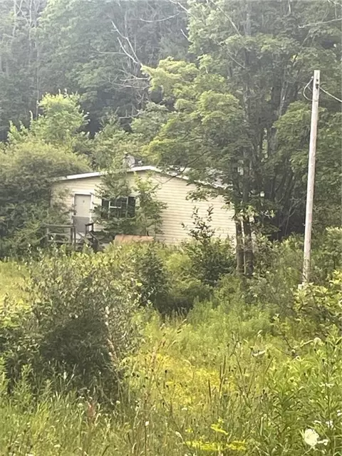 684 Cape Horn Rd, Stamford, NY 12167