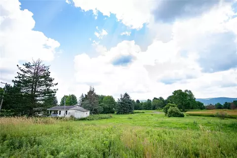 2009 Dunk Hill Rd, Walton, NY 13856