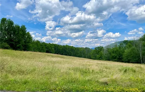 0 Carroll Hinkley Rd, Roxbury, NY 12474
