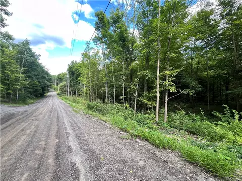 lot1 Greenbush Rd, Erin, NY 14838