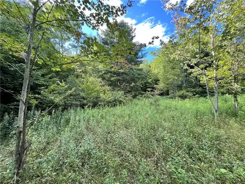 lot3 Greenbush Rd, Erin, NY 14838
