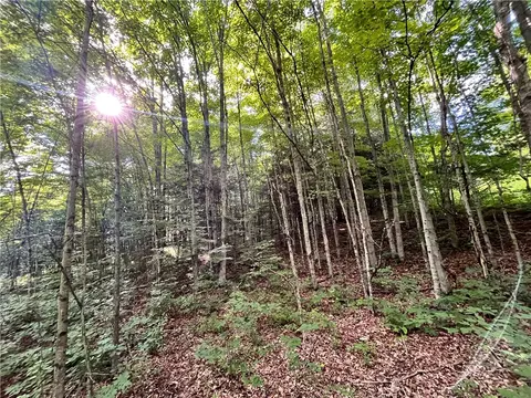 lot4 Greenbush Rd, Erin, NY 14838