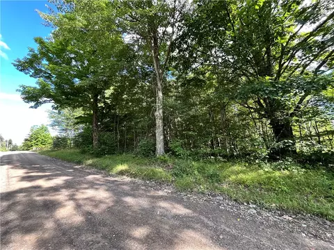 lot5 Greenbush Rd, Erin, NY 14838