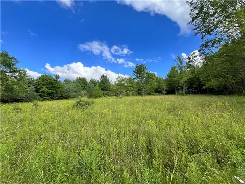 lot6 Greenbush Rd, Erin, NY 14838