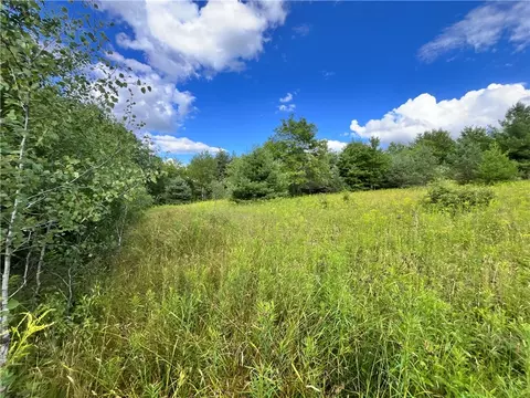lot8 Greenbush Rd, Erin, NY 14838