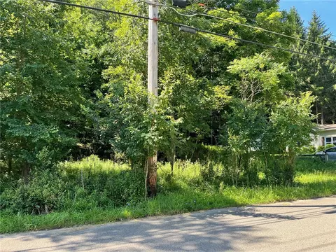 55 W University St, Alfred, NY 14802
