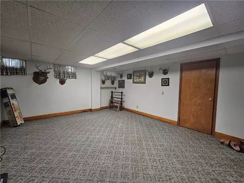 47 Dickerson St, Lyons, NY 14489 photo 34