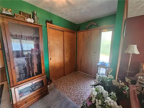 47 Dickerson St, Lyons, NY 14489 photo 27