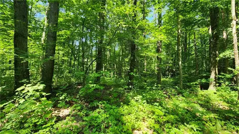 7120 Marrowback Rd, Conesus, NY 14435 photo 16