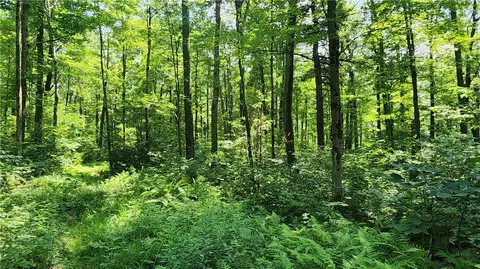 7120 Marrowback Rd, Conesus, NY 14435 photo 20