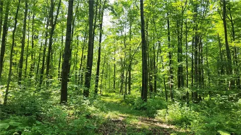 7120 Marrowback Rd, Conesus, NY 14435 photo 12