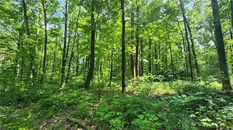 7120 Marrowback Rd, Conesus, NY 14435 photo 13