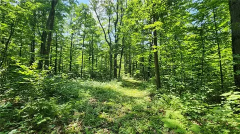 7120 Marrowback Rd, Conesus, NY 14435 photo 15