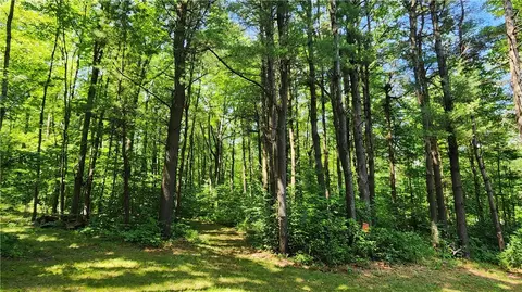 7120 Marrowback Rd, Conesus, NY 14435 photo 9