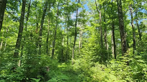 7120 Marrowback Rd, Conesus, NY 14435 photo 21