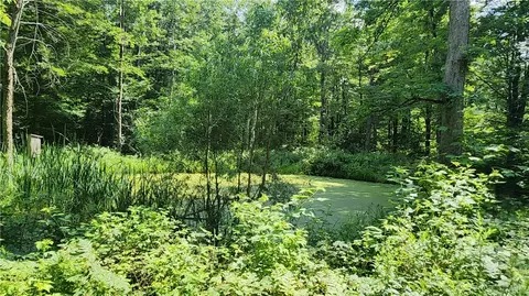 7120 Marrowback Rd, Conesus, NY 14435 photo 26