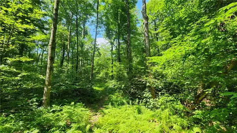 7120 Marrowback Rd, Conesus, NY 14435 photo 19