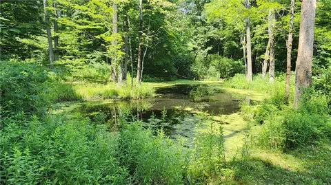 7120 Marrowback Rd, Conesus, NY 14435 photo 25