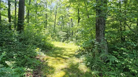 7120 Marrowback Rd, Conesus, NY 14435 photo 24