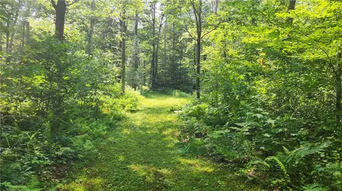 7120 Marrowback Rd, Conesus, NY 14435 photo 27