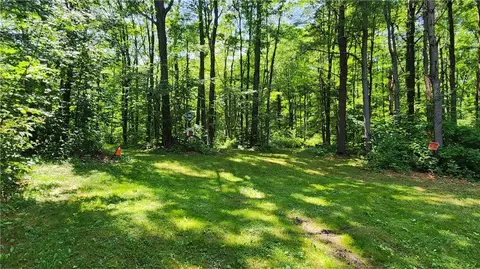 7120 Marrowback Rd, Conesus, NY 14435 photo 6