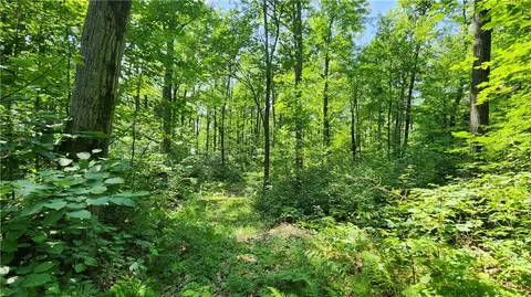 7120 Marrowback Rd, Conesus, NY 14435 photo 18