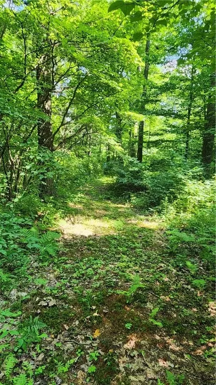 7120 Marrowback Rd, Conesus, NY 14435 photo 23