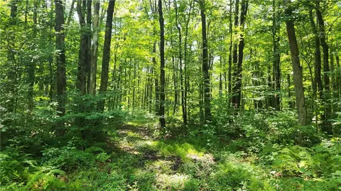 7120 Marrowback Rd, Conesus, NY 14435 photo 11