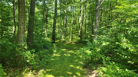 7120 Marrowback Rd, Conesus, NY 14435 photo 28