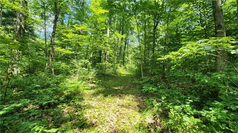 7120 Marrowback Rd, Conesus, NY 14435 photo 17