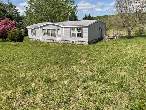 10143 Shaul Rd, Cassville, NY 13318