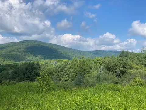 225 Maple Ln, Middletown, NY 10940