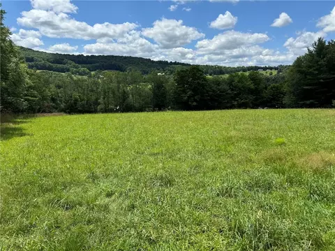 0 County Highway 12 Stonehouse Rd, Kortright, NY 13739