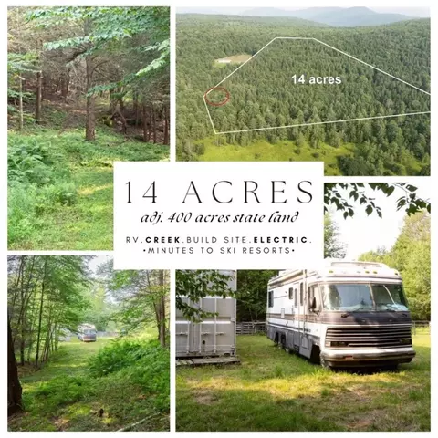 lot45 Off Washington St, Prattsville, NY 12468