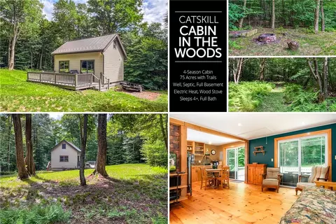 1278 Monroe Rd, Meredith, NY 13753