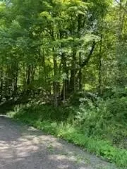 Undisclosed, Franklin, NY 13839